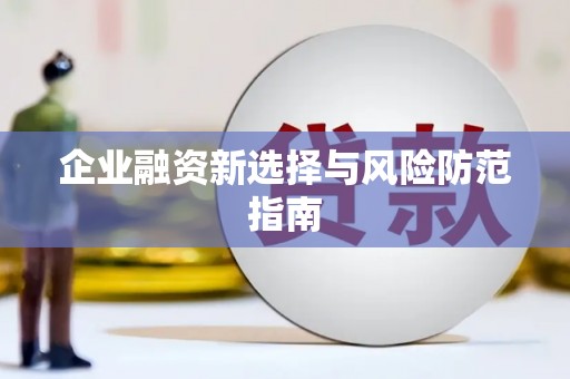 新营企业融资新选择与风险防范指南