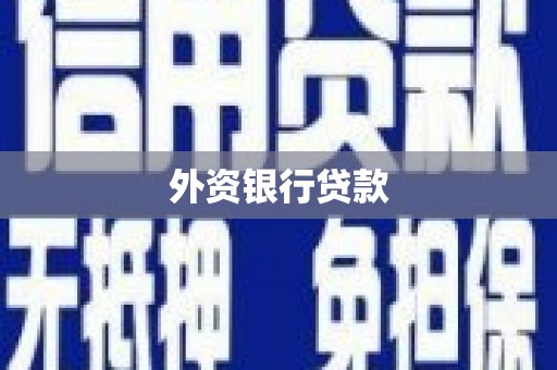 新营外资银行贷款