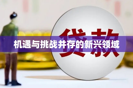 新营机遇与挑战并存的新兴领域