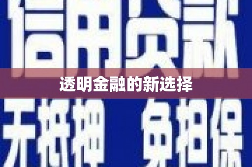 新营透明金融的新选择