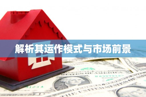 新营解析其运作模式与市场前景