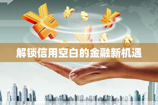 新营解锁信用空白的金融新机遇