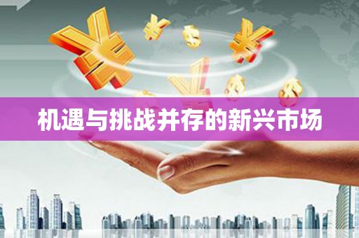 新营机遇与挑战并存的新兴市场