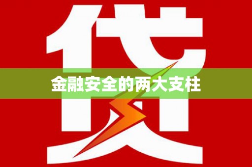 新营金融安全的两大支柱