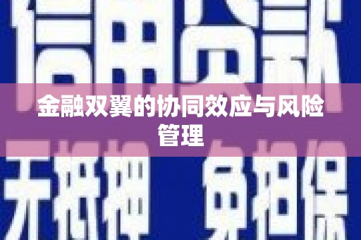 新营金融双翼的协同效应与风险管理