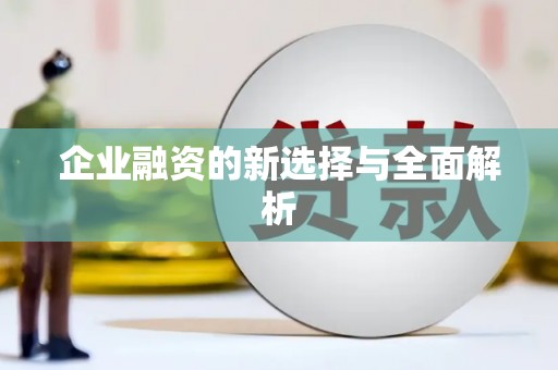 新营企业融资的新选择与全面解析