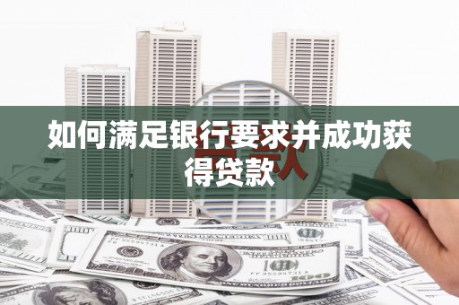 新营如何满足银行要求并成功获得贷款