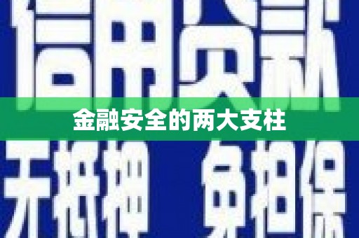 新营金融安全的两大支柱