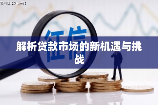 新营解析贷款市场的新机遇与挑战