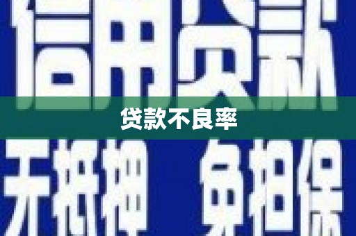 新营贷款不良率
