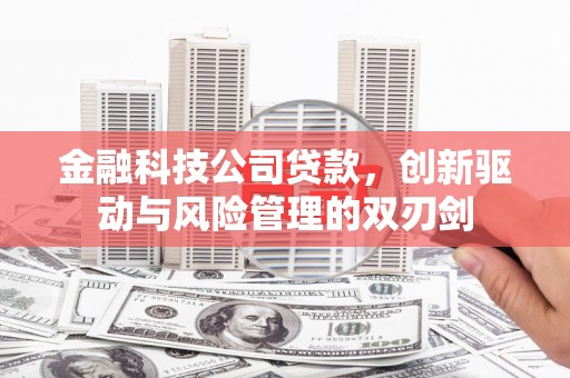 新营金融科技公司贷款，创新驱动与风险管理的双刃剑