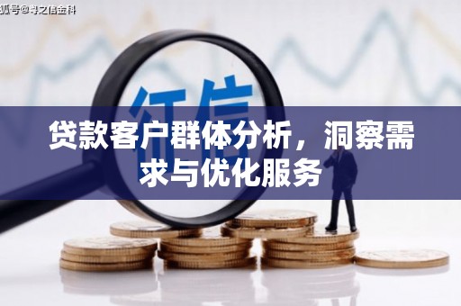 新营贷款客户群体分析，洞察需求与优化服务