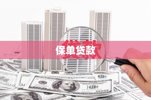 新营保单贷款 新营保单贷款